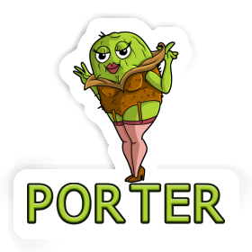 Sticker Kiwi Porter Image