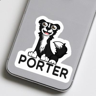 Porter Autocollant Border Collie Gift package Image