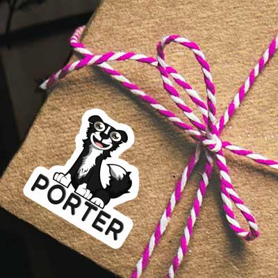 Porter Autocollant Border Collie Gift package Image