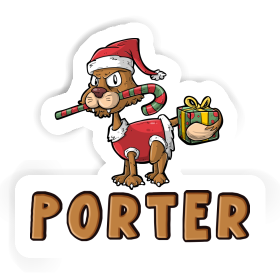Sticker Christmas Cat Porter Gift package Image