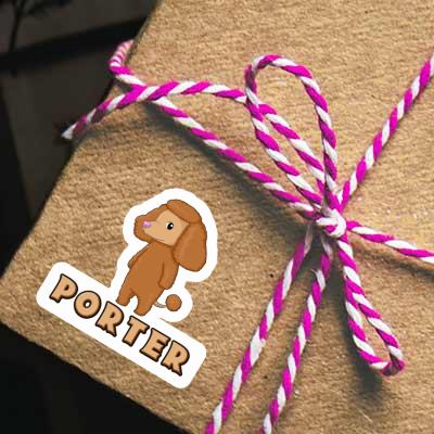 Autocollant Porter Caniche Gift package Image