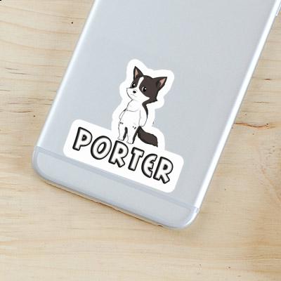 Autocollant Porter Collie border Gift package Image