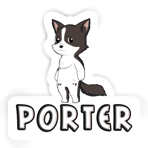 Porter Sticker Border Collie Gift package Image