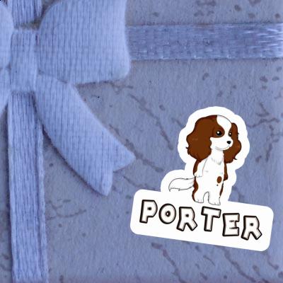 Sticker Cavalier King Charles Spaniel Porter Gift package Image