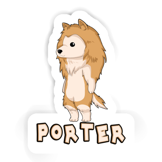 Sticker Porter Collie Gift package Image