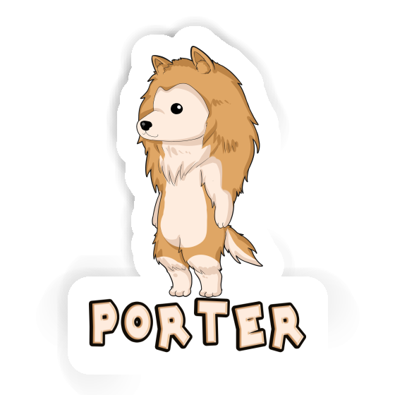 Sticker Collie Porter Laptop Image