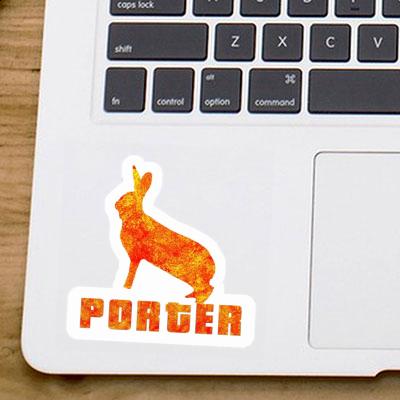 Autocollant Porter Lapin Gift package Image