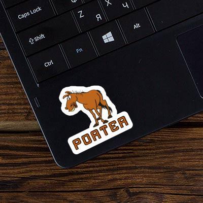 Porter Sticker Pferd Notebook Image