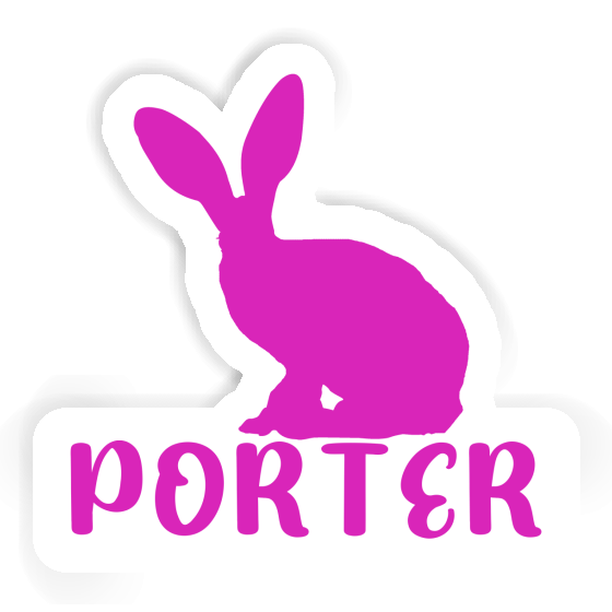 Autocollant Lapin Porter Gift package Image