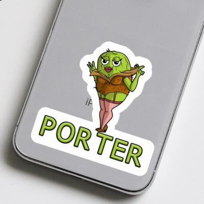 Sticker Kiwi Porter Laptop Image