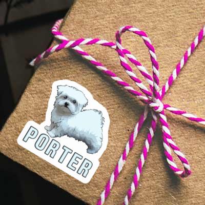 Sticker Porter Maltese Dog Gift package Image