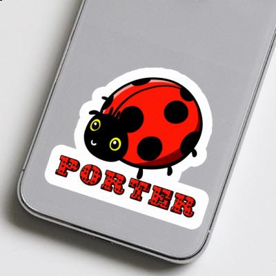 Porter Autocollant Coccinelle Gift package Image