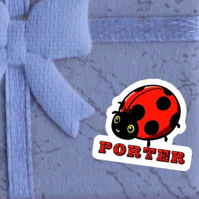 Porter Autocollant Coccinelle Gift package Image