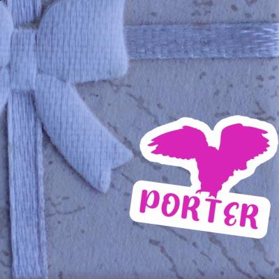 Autocollant Porter Hibou Gift package Image