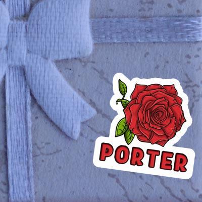 Autocollant Porter Rose Image