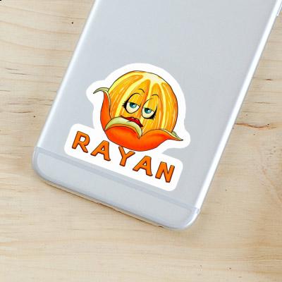 Rayan Autocollant Orange Rayan Autocollant Orange Image