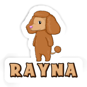 Caniche Autocollant Rayna Image