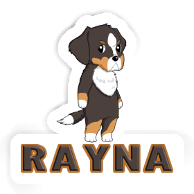 Sticker Rayna Bernese Mountain Dog Image