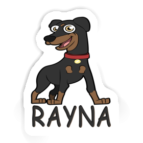 Sticker Rayna German Pinscher Image