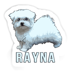 Sticker Rayna Malteserhund Image