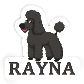 Sticker Poodle Rayna Image