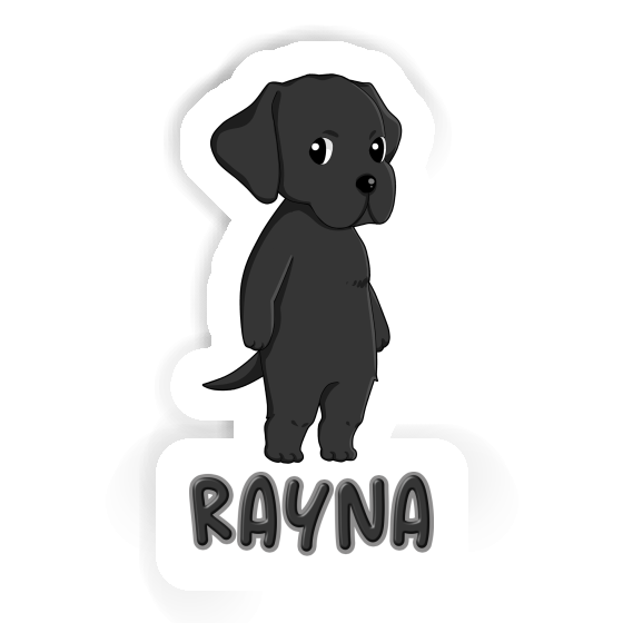 Sticker Rayna Labrador Gift package Image