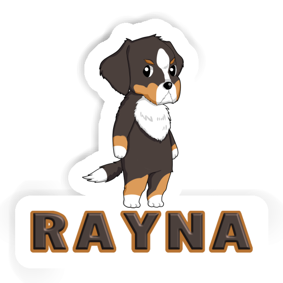 Sticker Rayna Bernese Mountain Dog Laptop Image