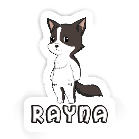 Collie border Autocollant Rayna Gift package Image