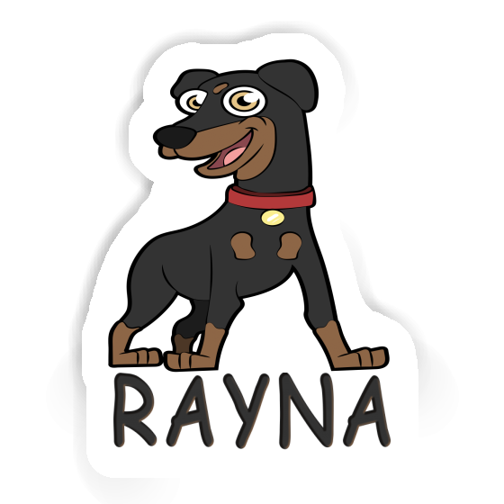 Sticker Rayna German Pinscher Notebook Image