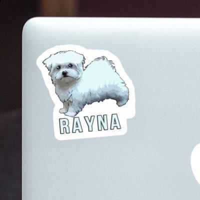 Sticker Maltese Rayna Notebook Image