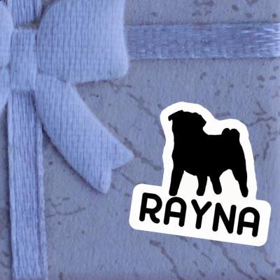 Sticker Rayna Pug Laptop Image