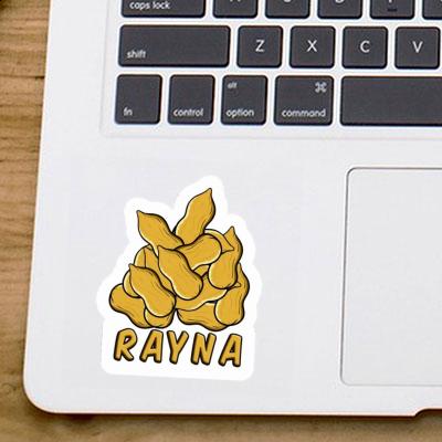 Sticker Nut Rayna Notebook Image