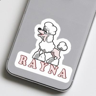 Autocollant Caniche Rayna Laptop Image