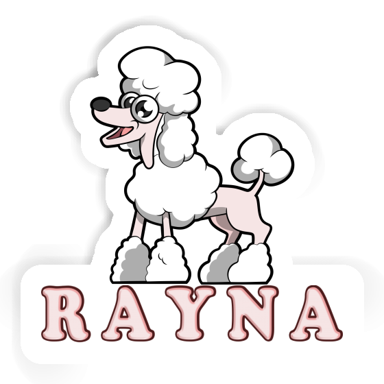 Autocollant Caniche Rayna Gift package Image