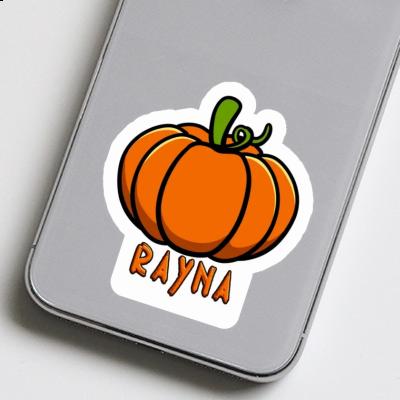 Rayna Sticker Pumpkin Gift package Image