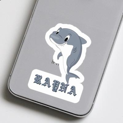 Requin Autocollant Rayna Laptop Image