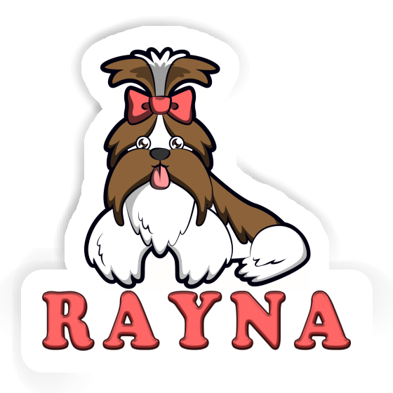 Autocollant Shih Tzu Rayna Gift package Image