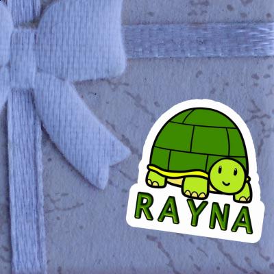 Turtle Sticker Rayna Gift package Image