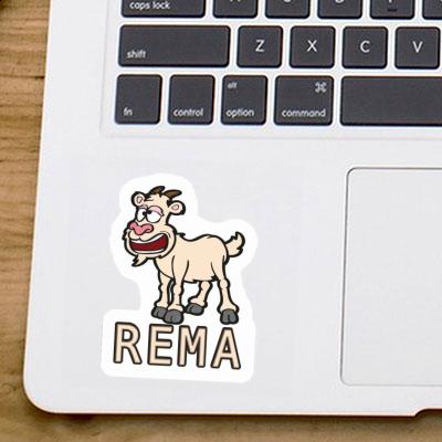 Autocollant Chèvre Rema Notebook Autocollant Chèvre Rema Gift package Image