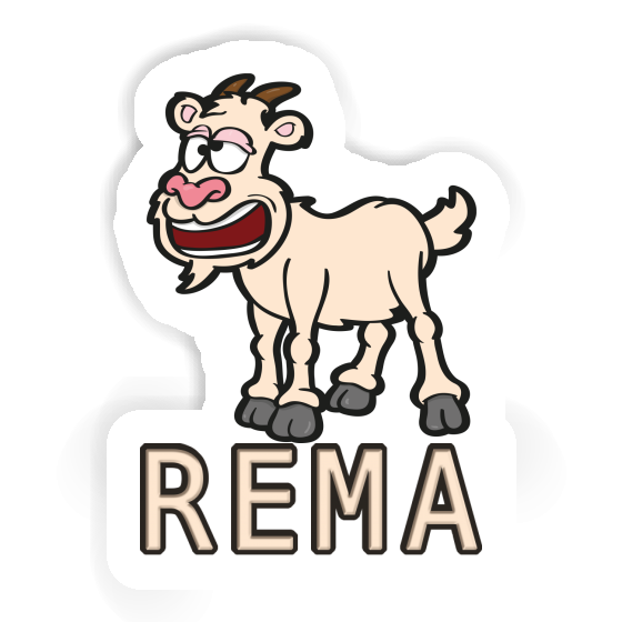 Autocollant Chèvre Rema Notebook Autocollant Chèvre Rema Gift package Image