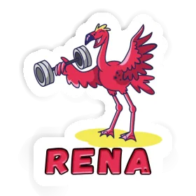 Autocollant Flamant rose Rena Image