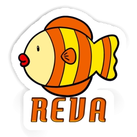 Poisson Autocollant Reva Image