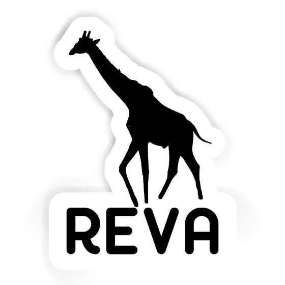 Giraffe Sticker Reva Notebook Image