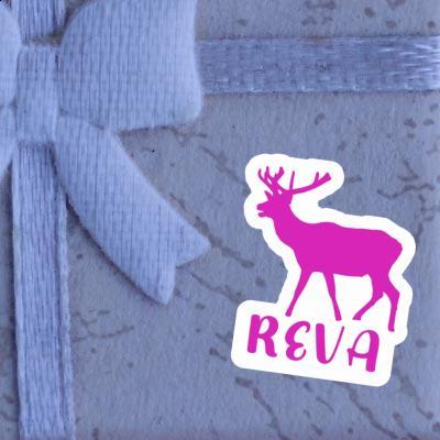 Hirsch Sticker Reva Notebook Image