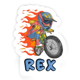 Rex Autocollant Vététiste de freeride Image