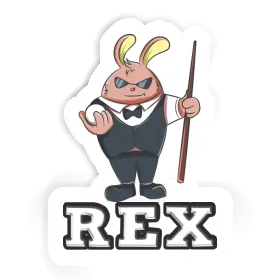 Rex Autocollant Joueur de billard Image