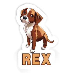 Autocollant Boxer Rex Image
