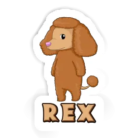 Rex Aufkleber Pudel Image
