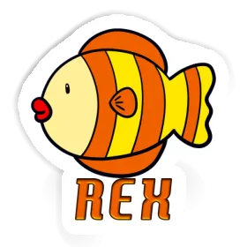 Fisch Aufkleber Rex Image