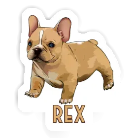 Rex Autocollant Bouledogue Image